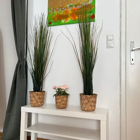 Daire Antik Chic Mit Gartenblick Salzburg